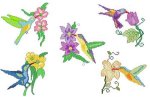(image for) Hummingbirds